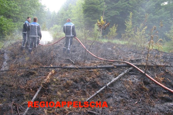 Regio Appelscha